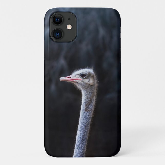 Funda De Case-Mate Para iPhone Fotografía de avestruz (Reverso)