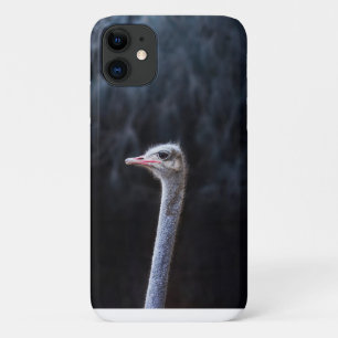 Funda Para iPhone 11 Fotografía de avestruz