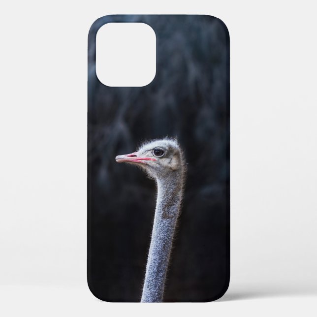 Funda De Case-Mate Para iPhone Fotografía de avestruz (Reverso )