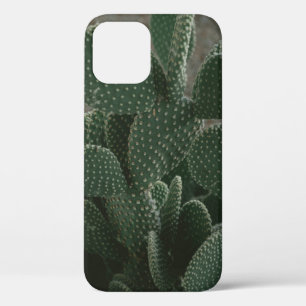 FUNDA PARA iPhone 12 FOTOGRAFÍA DE CACTUS DE SHALLOW FOCUS
