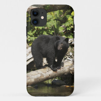 Funda Para iPhone 11 Fotografía de caza del oso negro salvaje