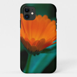 Funda Para iPhone 11 Fotografía de Flor de Margarita Naranja
