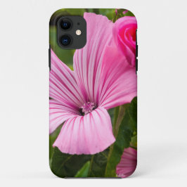 title_seo2 fotografía de flor rosada con el rocío de la