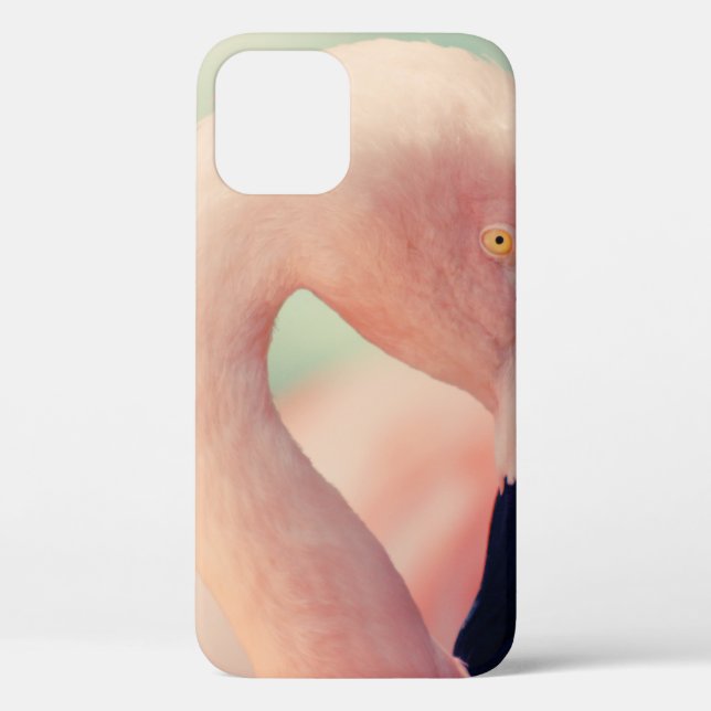 Funda De Case-Mate Para iPhone Fotografía de foco poco profundo del flamingo rosa (Reverso )