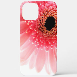 title_seo2 Fotografía de Gerbera Daisy Rosa Fresca