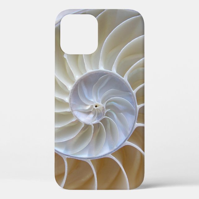 Funda De Case-Mate Para iPhone Fotografía de la concha marina de Nautilus (Reverso )