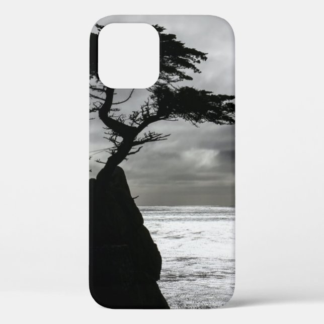 Funda De Case-Mate Para iPhone Fotografía de la naturaleza blanco y negro (Reverso )