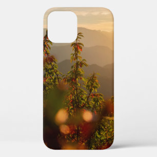 FUNDA PARA iPhone 12 FOTOGRAFÍA DE LA NATURALEZA DE ÁRBOLES VERDES CO