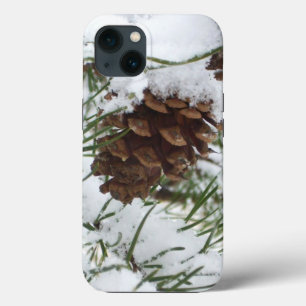 title_seo2 Fotografía de la naturaleza de la nieve de Pine Co