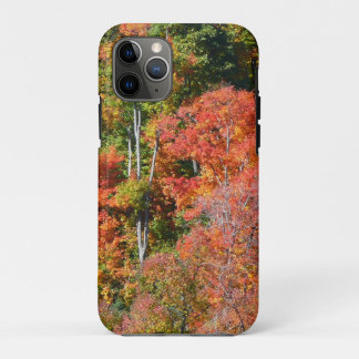 Funda Para iPhone 11 Pro Fotografía de la naturaleza otoñal colorida de la