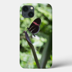Funda Para iPhone 13 Fotografía de mariposa