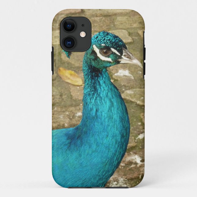 Funda De Case-Mate Para iPhone Fotografía de Naturaleza Hermosa Pavo Real (Reverso)