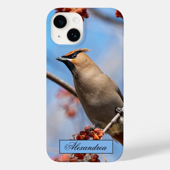 Funda De Case-Mate Para iPhone Fotografía de pájaro marrón y bohemio canadiense W (Reverso )