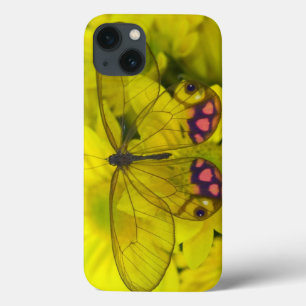 Funda Para iPhone 13 Fotografía de Sammamish Washington de la mariposa