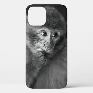 FUNDA PARA iPhone 12 FOTOGRAFÍA DE SHALLOW FOCUS DE MONO NEGRO