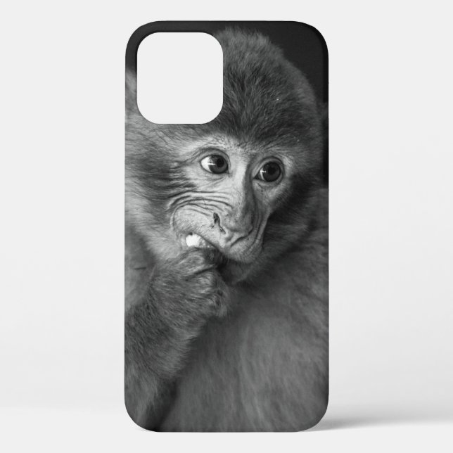 FUNDA DE Case-Mate PARA iPhone FOTOGRAFÍA DE SHALLOW FOCUS DE MONO NEGRO (Reverso )