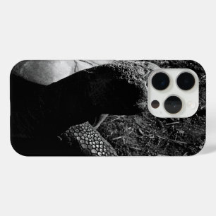 Funda Para iPhone 15 Pro Fotografía de tortuga en blanco y negro