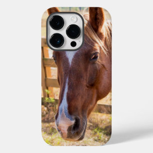 Funda Para iPhone 14 Pro De Case-Mate Fotografía de un caballo bajo la luz del sol en un