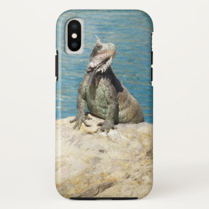 title_seo2 Fotografía de vida salvaje tropical de Iguana en S