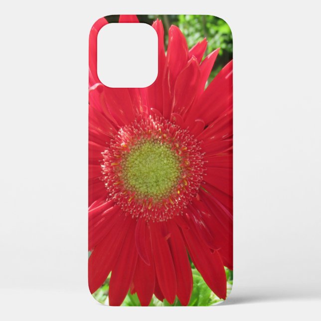 Funda De Case-Mate Para iPhone Fotografía floral de Red Daisy (Reverso )