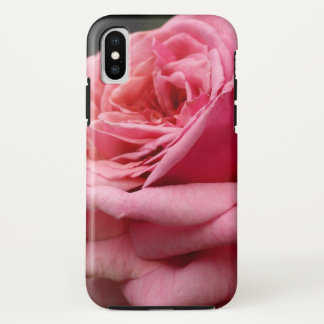 title_seo2 Fotografía floral Rosa I Bonito
