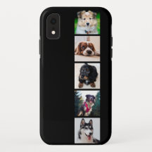 Fotografías de Instagram de perros cachorros