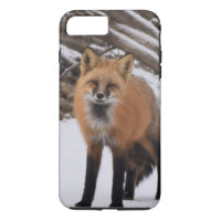 Fox