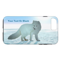 Fox ártica