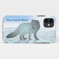 Fox ártica