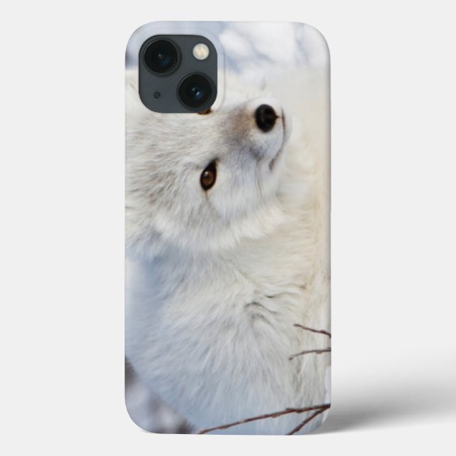 Funda De Case-Mate Para iPhone Fox ártica en invierno (Reverso)