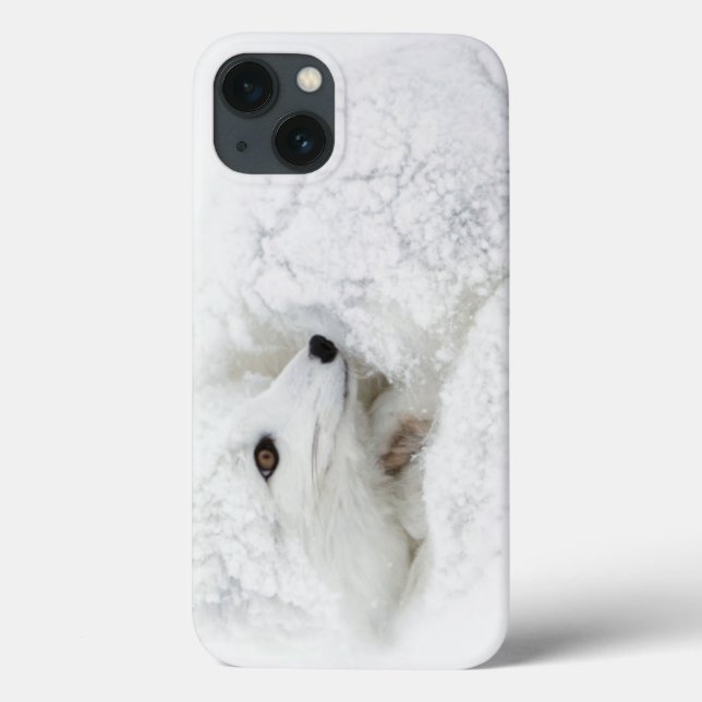 Funda De Case-Mate Para iPhone Fox ártico encrespado para arriba en invierno (Reverso)