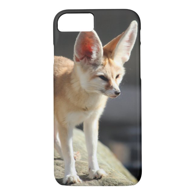 Funda De Case-Mate Para iPhone Fox de Fennec (Reverso)