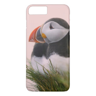 Funda Para iPhone 8 Plus/7 Plus Frailecillo atlántico (Fratercula arctica)