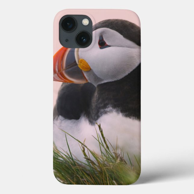 Funda De Case-Mate Para iPhone Frailecillo atlántico (Fratercula arctica) (Reverso)