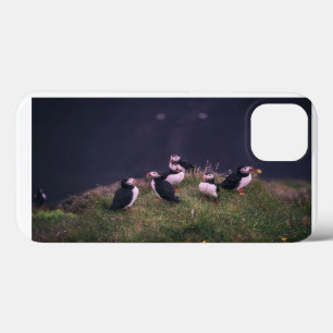 Funda Para iPhone 13 Frailecillos atlánticos