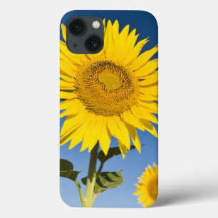 Funda Para iPhone 13 Francia, Provenza, Valensole. Estacionamiento de g