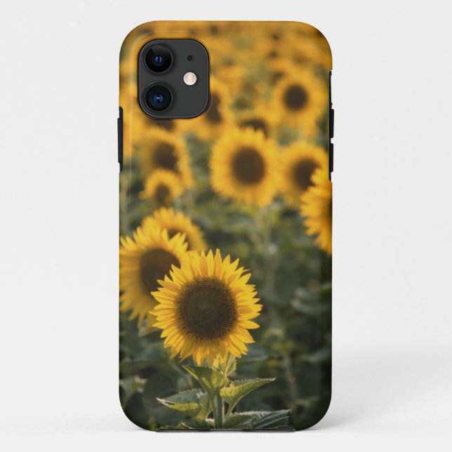 Funda De Case-Mate Para iPhone Francia, Vaucluse, campo de girasoles (Reverso)