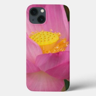Funda Para iPhone 13 Franklin NC, jardín de agua de Perry, Loto 2