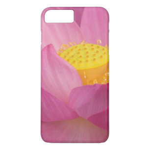 Funda Para iPhone 8 Plus/7 Plus Franklin NC, jardín de agua de Perry, Loto 2