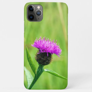 Funda Para iPhone 11 Pro Max Frecuentes Knapweed