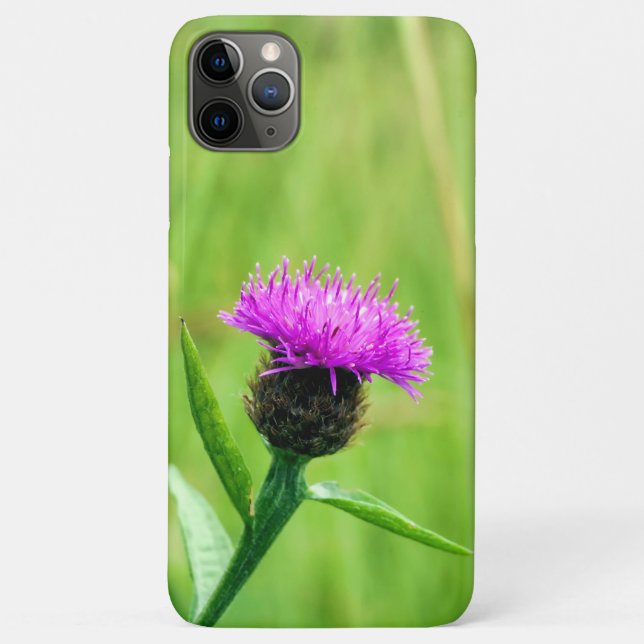Funda De Case-Mate Para iPhone Frecuentes Knapweed (Reverso)