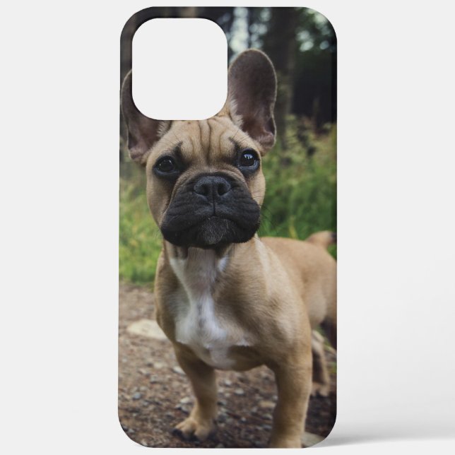 Funda De Case-Mate Para iPhone French Bulldog Throw Pillow (Reverso )