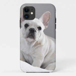 Funda Para iPhone 11 Frenchie poner crema
