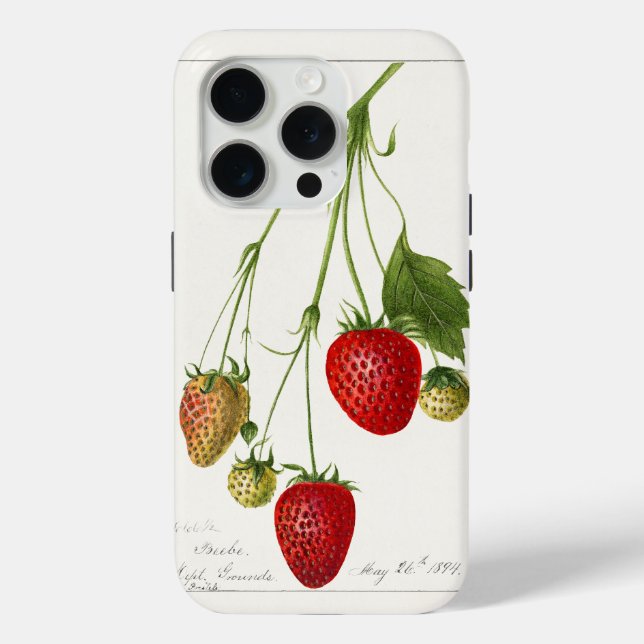 Funda De Case-Mate Para iPhone Fresas de época (Reverso )