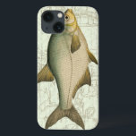 title_seo2 Freshwater Fish on Map<br><div class="desc">This art print illustrates a detailed painting of a freshwater fish. The background is a vintage map in light aquatic color. This design would perfectly fit any product of your fishing collection.</div>