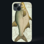 title_seo2 Freshwater Fish on Map<br><div class="desc">This art print illustrates a detailed painting of a freshwater fish. The background is a vintage map in light aquatic color. This design would perfectly fit any product of your fishing collection.</div>
