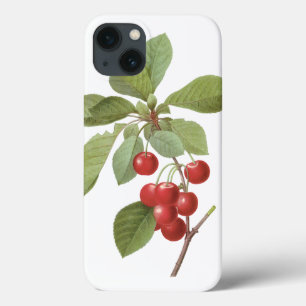 Funda Para iPhone 13 Frutas Vintage Cereza, Cerezas de Redoute