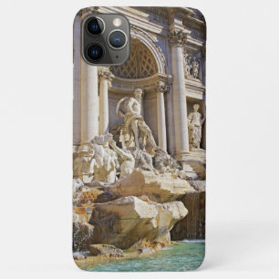 Funda Para iPhone 11 Pro Max Fuente de Trevi