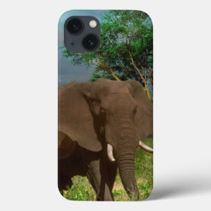 Funda Para iPhone 13 "Fuerza de Serene: La mancha del elefante de toro"