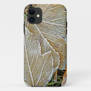 11 Funda Casemate para iPhone 5 de Arce Congelado